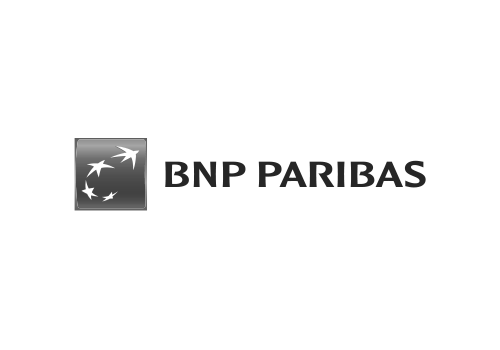 Logo-bnp-png